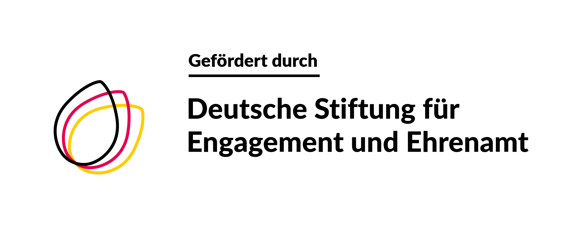 DSEE_Foederlogo_2zlg_RGB_schw_2000px